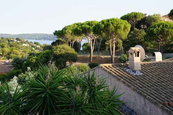 View from the terrace