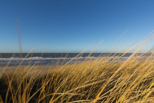 New, attractive and spacious apartment with comfort, within walking distance of the forest / beach.