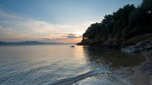 A coastal landscape with a calm sea, rocky shore, and dense trees.