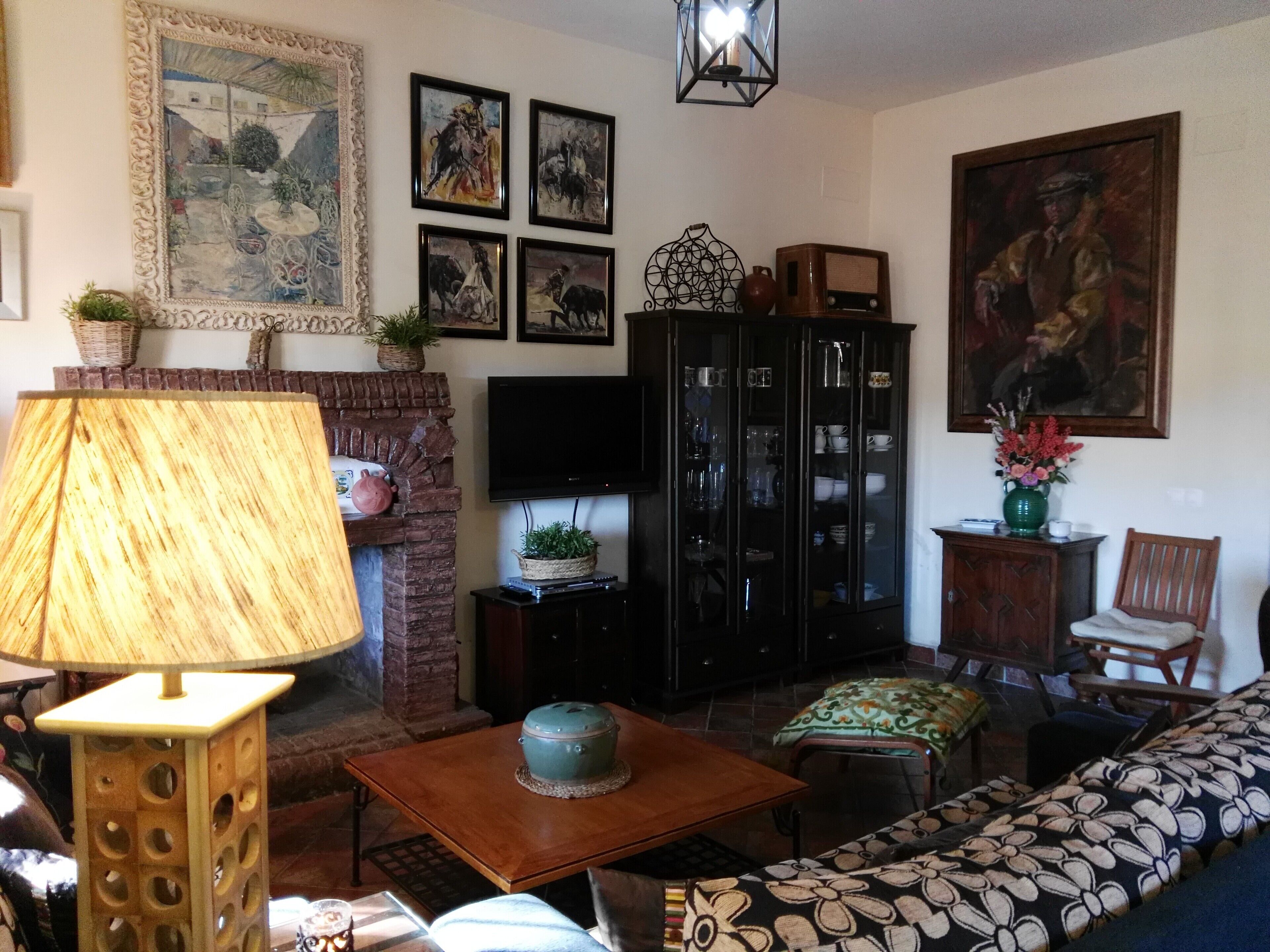 TV, fireplace, DVD player, stereo