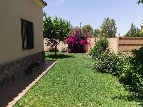 Um jardim bem cuidado, com gramado, uma árvore e plantas floridas.