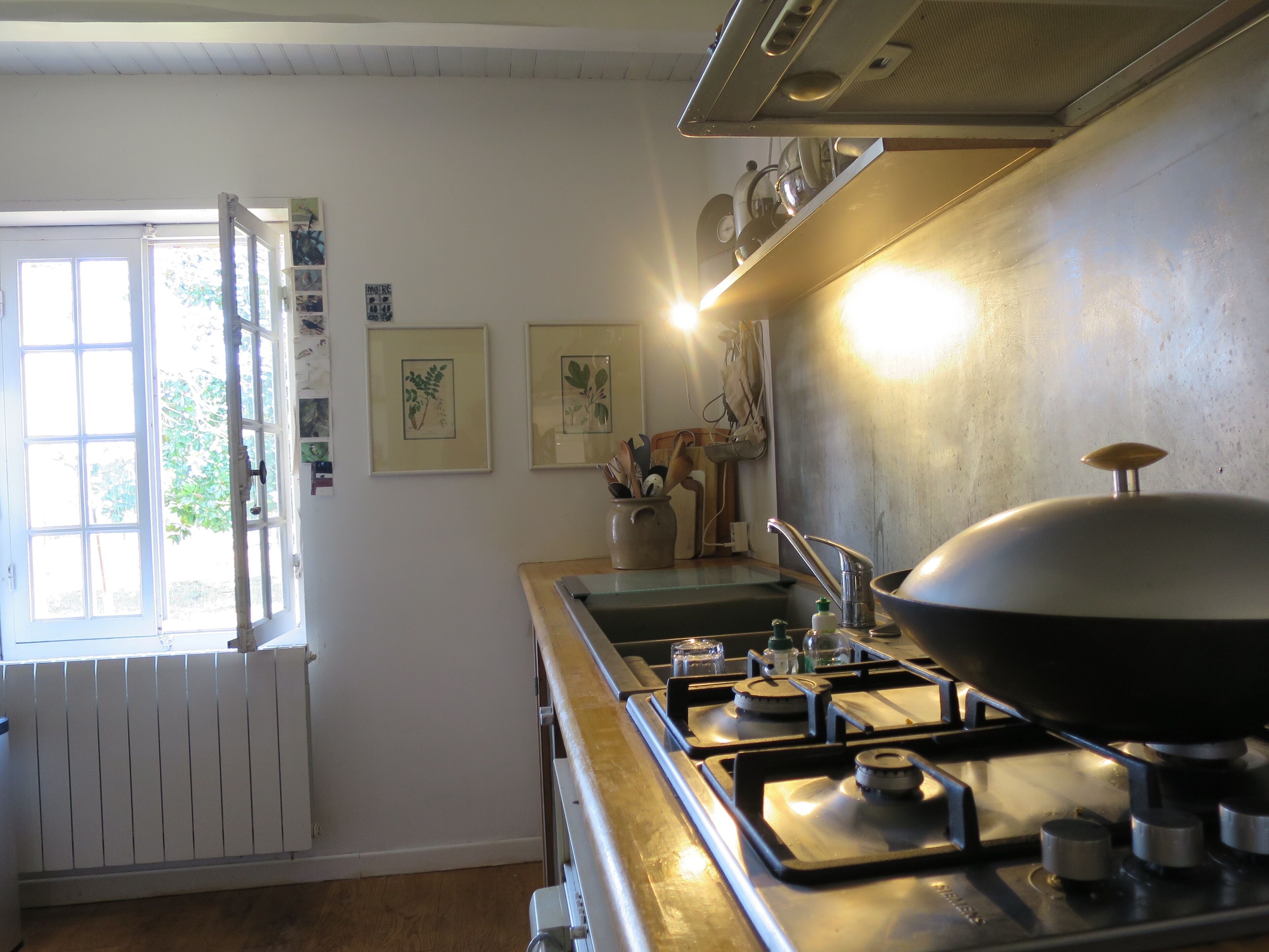 Architect house in the Landes forest