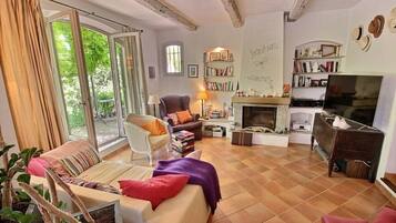Smart TV, chimenea, libros