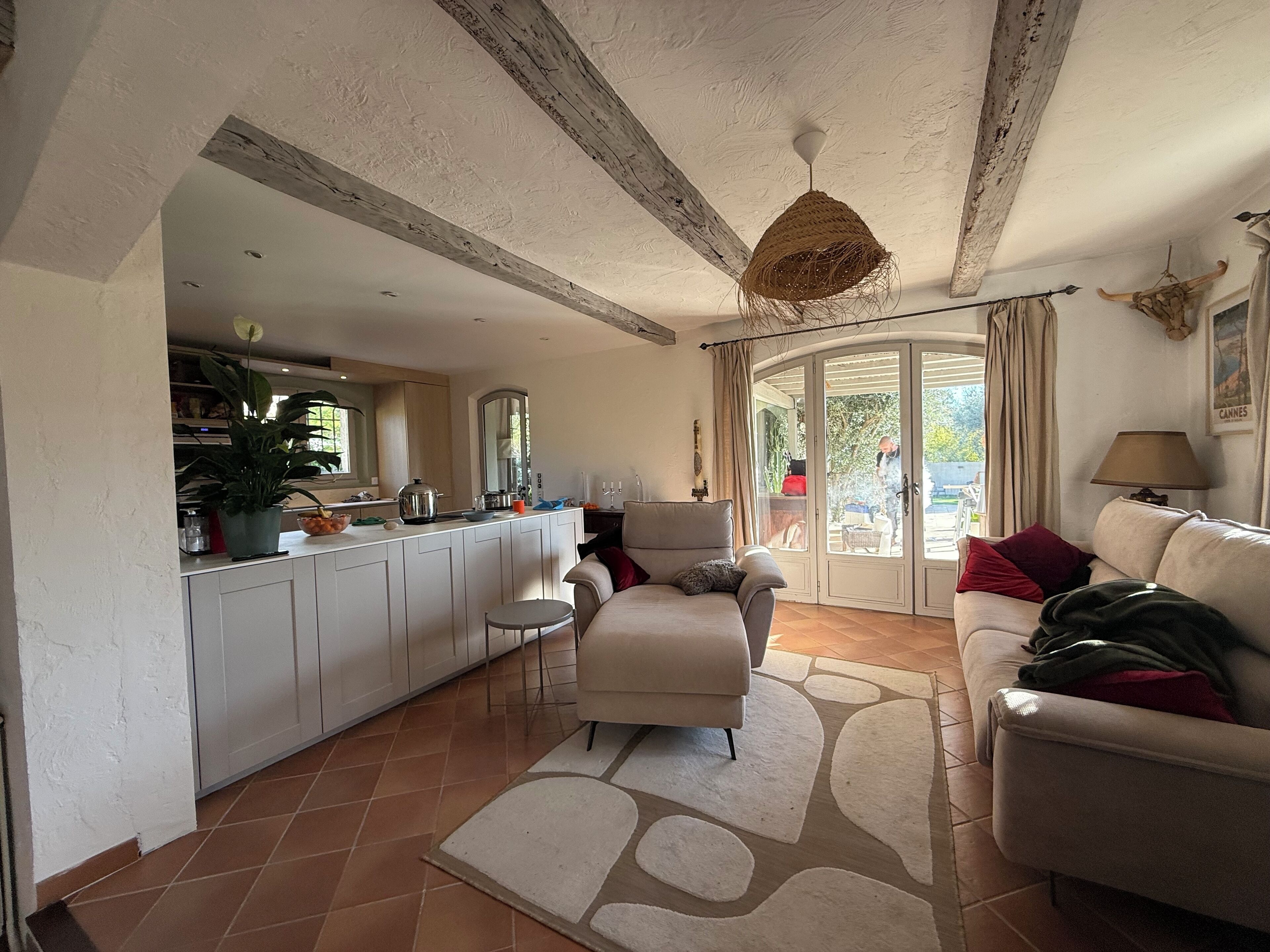 TV connectée, cheminée, livres