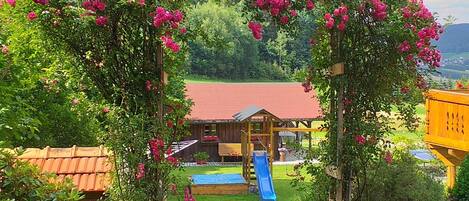 Children's area