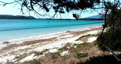 Villa with sea view, spacious, quiet, private heated pool renovated in 2025