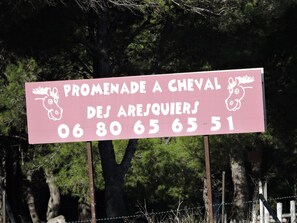 Ein pinkes Schild mit weißer Schrift und Zeichnungen von Pferden, das auf ein Reitturnier hinweist.
