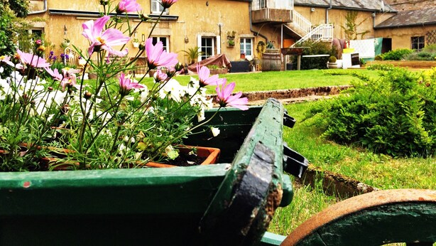 A rustic house with a garden in front, a green wheelbarrow, and a small wooden structure on the roof.