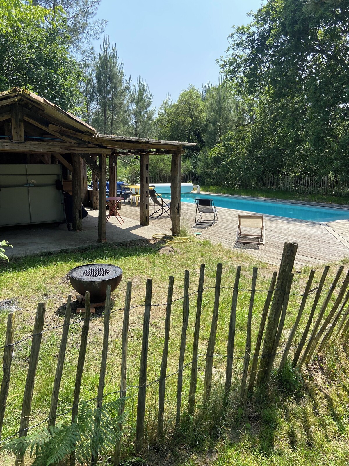 Imagen de perfil del propietario o de la propietaria