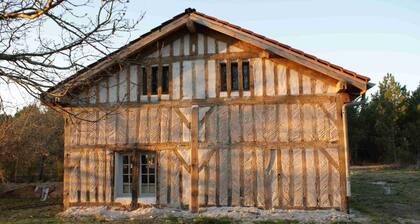 Landaise 8 people 25 minutes from the beaches with swimming pool