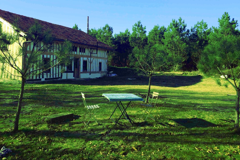 Landaise 8 people 25 minutes from the beaches with swimming pool