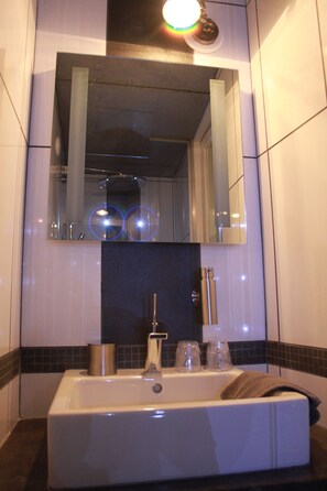 Douche, baignoire à jets, sèche-cheveux, serviettes fournies