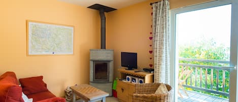 TV connectée, cheminée, lecteur de DVD, livres