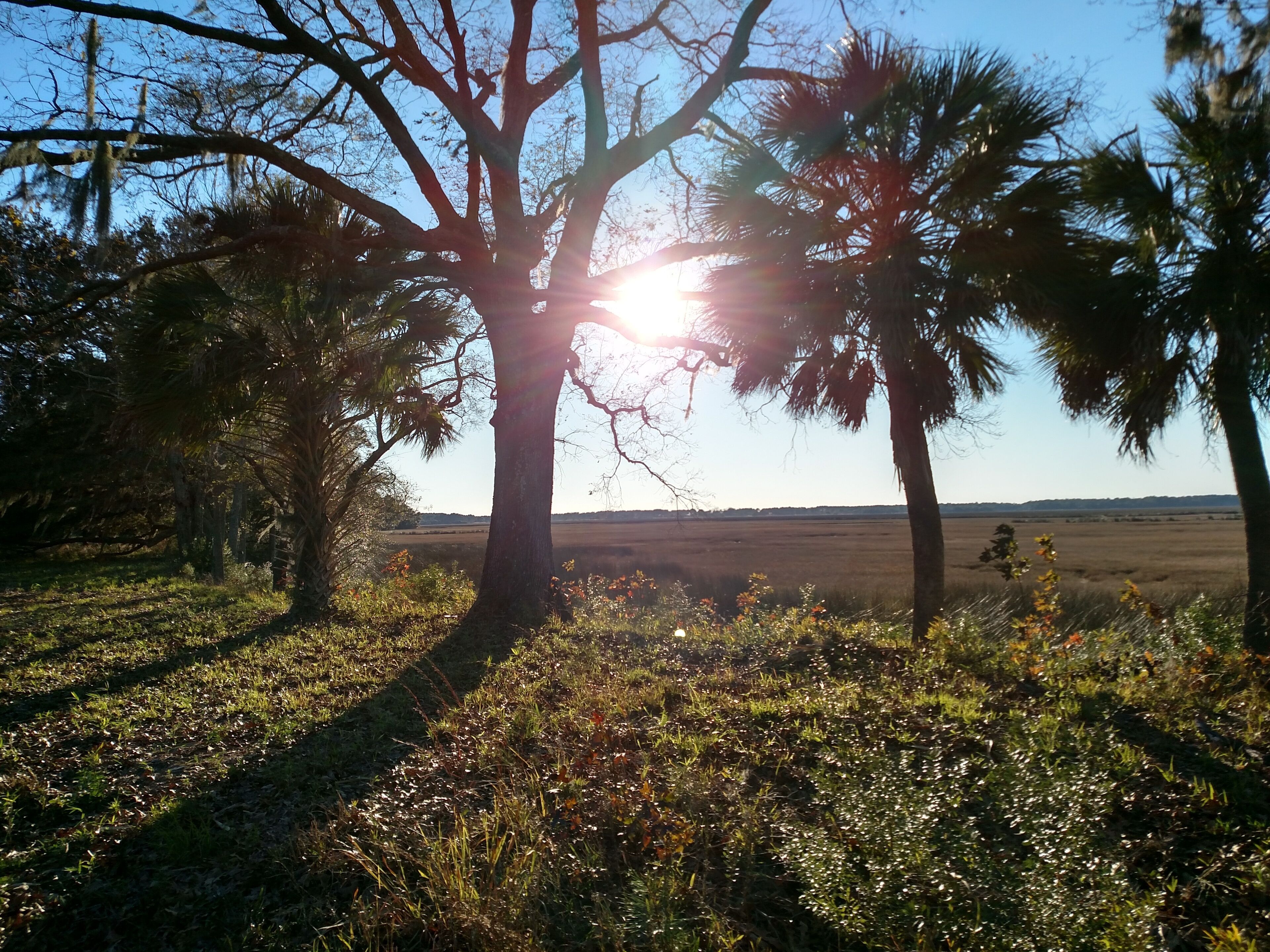 16 Lighthouse Lane, Bennett's Point, SC, Amazing Sunsets