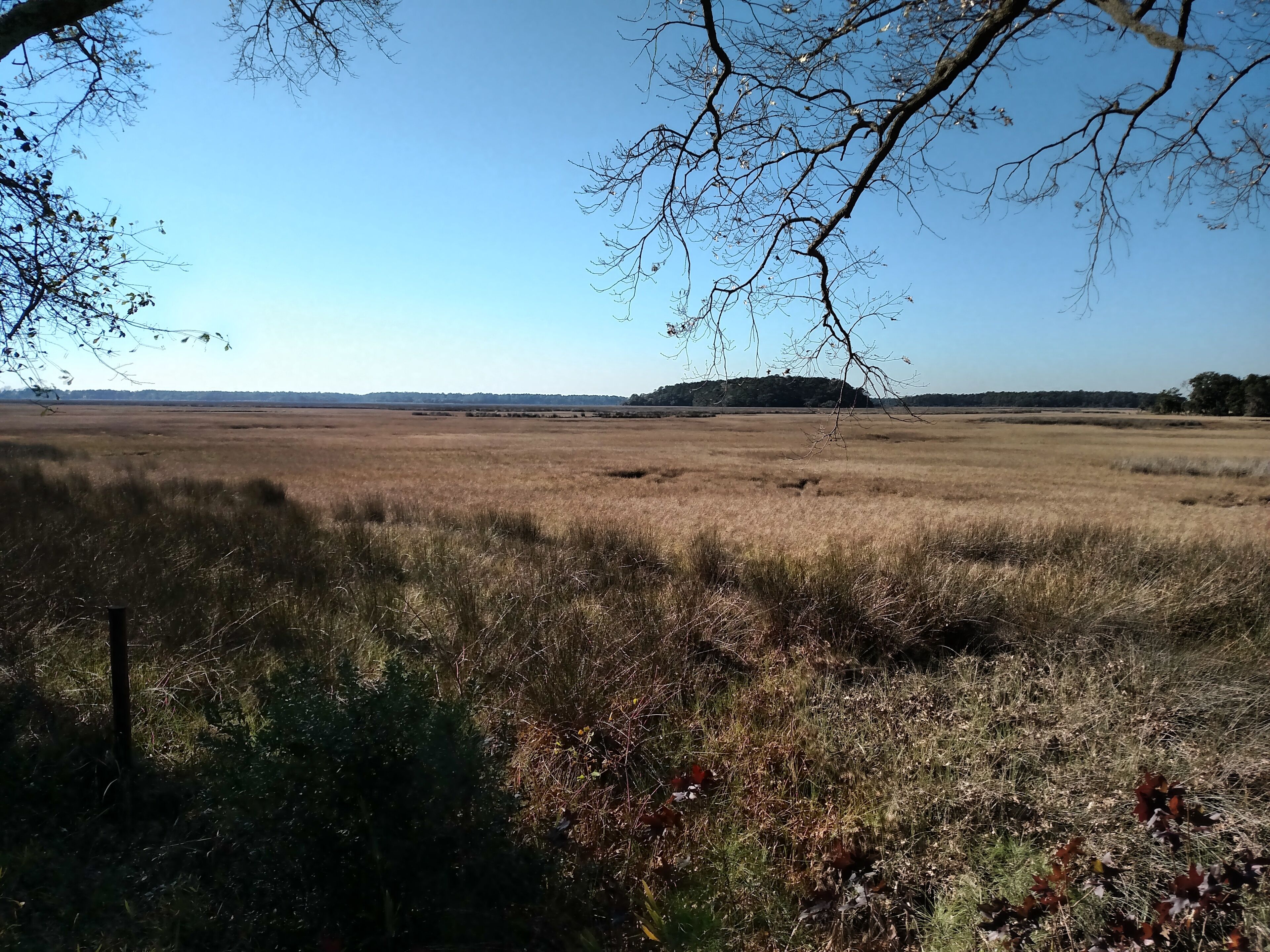 16 Lighthouse Lane, Bennett's Point, SC, Amazing Sunsets