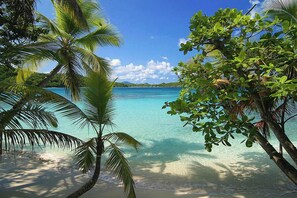 Una playa con agua turquesa cristalina, palmeras y una isla distante.