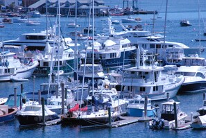 Marina - Don’t miss out on your vacation! Come stay at this  on site marina property (Southwest Harbor)