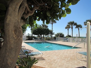 A pool area with lounge chairs, a clear blue pool, and palm trees.