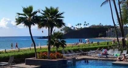 Luxurious Whaler Studio