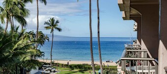 Luxurious Whaler Studio