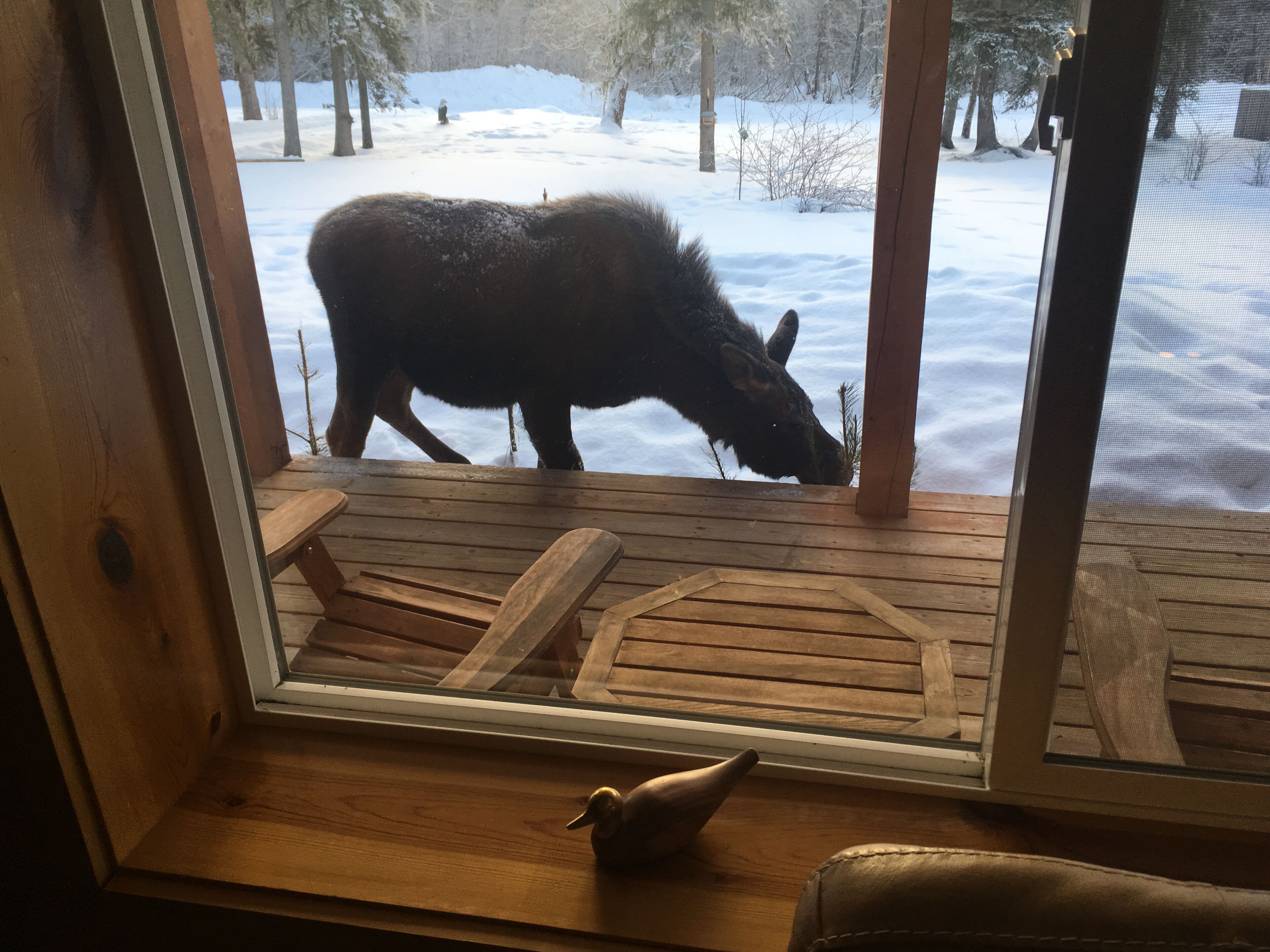 Vacationer's Dream! Luxury Vacation Home!  Wasilla, Alaska ! 