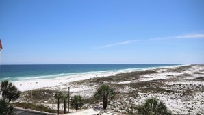 A beach view with a clear sky, sandy beach, and sparse vegetation.