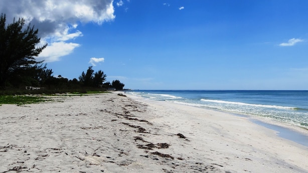 A beach with a clear sky, sandy shore, and some trees. - Upgraded and updated Villa in Tranquil Neighborhood (Rotonda West)