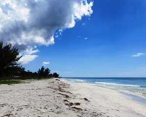 A beach with a clear sky, sandy shore, and some trees.
