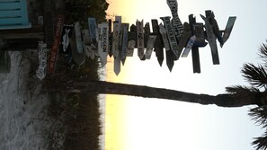 A collection of wooden signs with various destinations written on them, mounted on a tree.