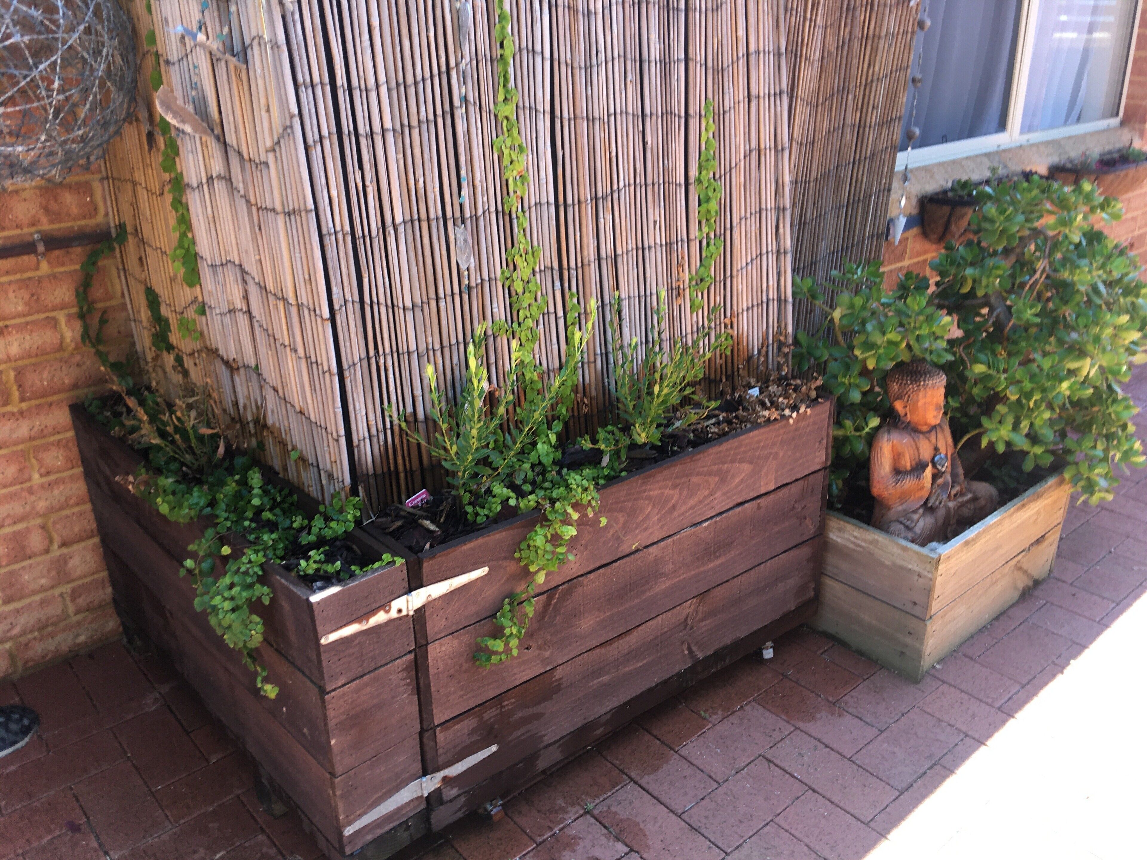 Ziggy and Bree's place — image 4