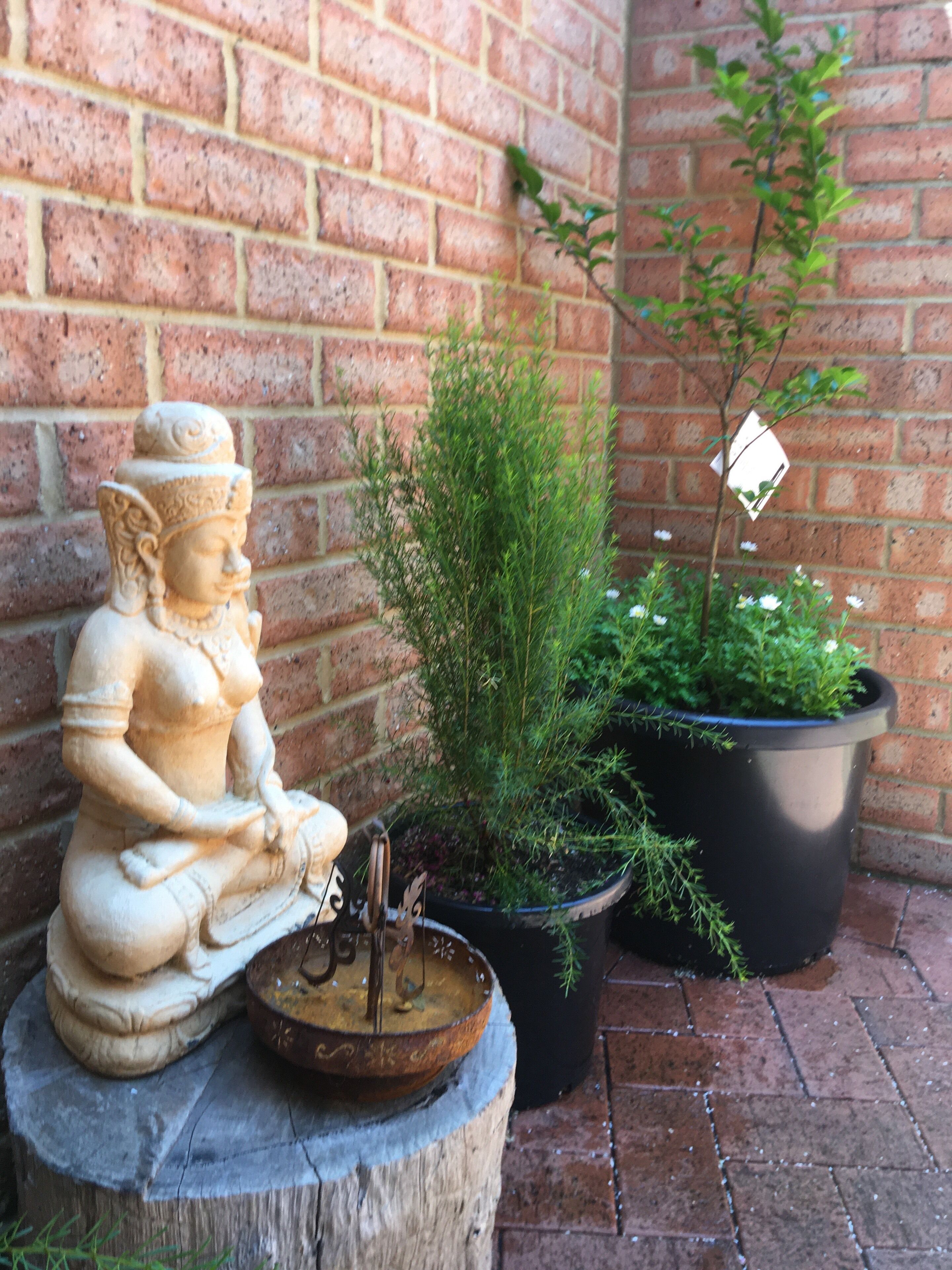 Ziggy and Bree's place — image 16