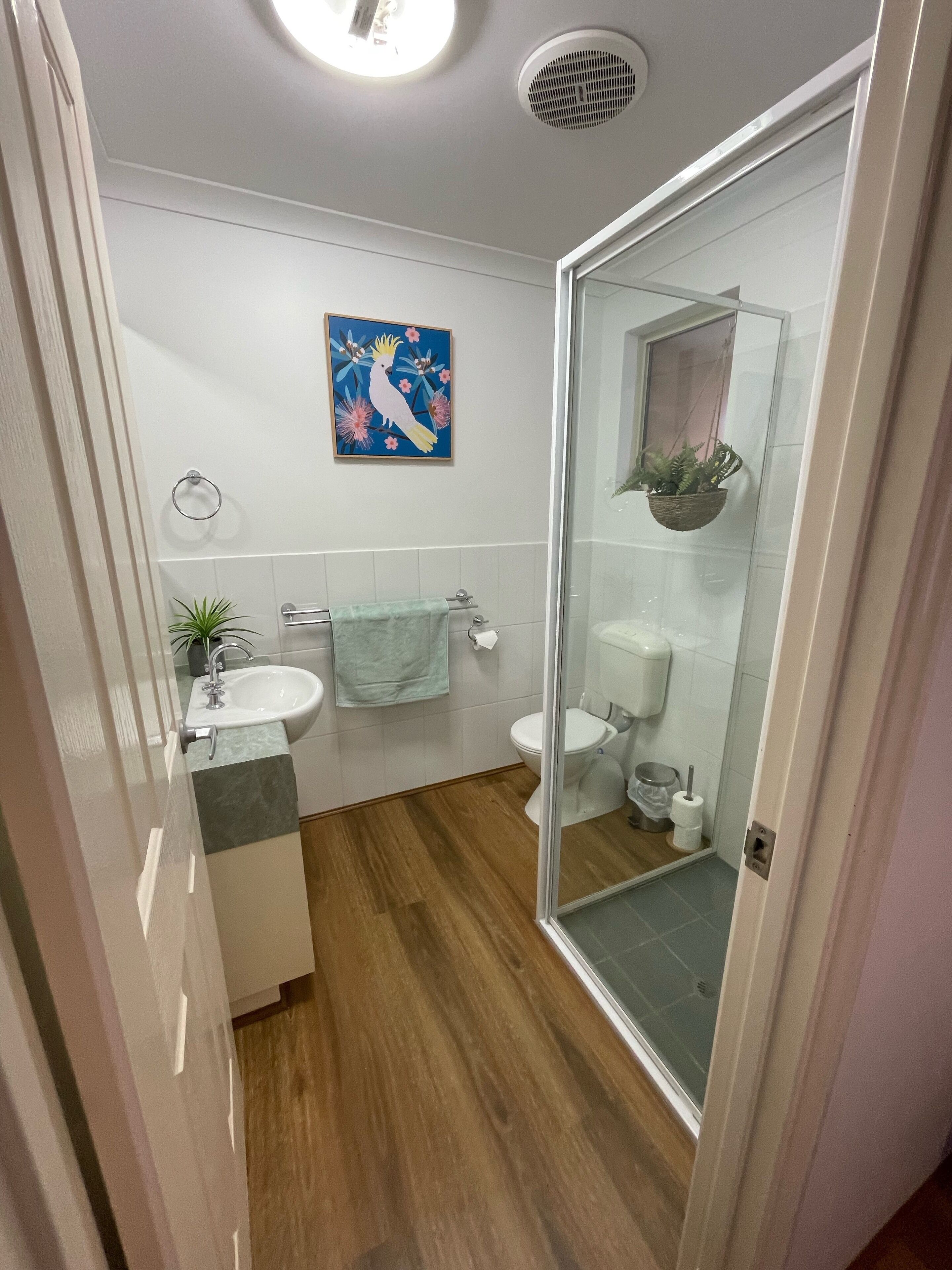 Ziggy and Bree's place — image 14