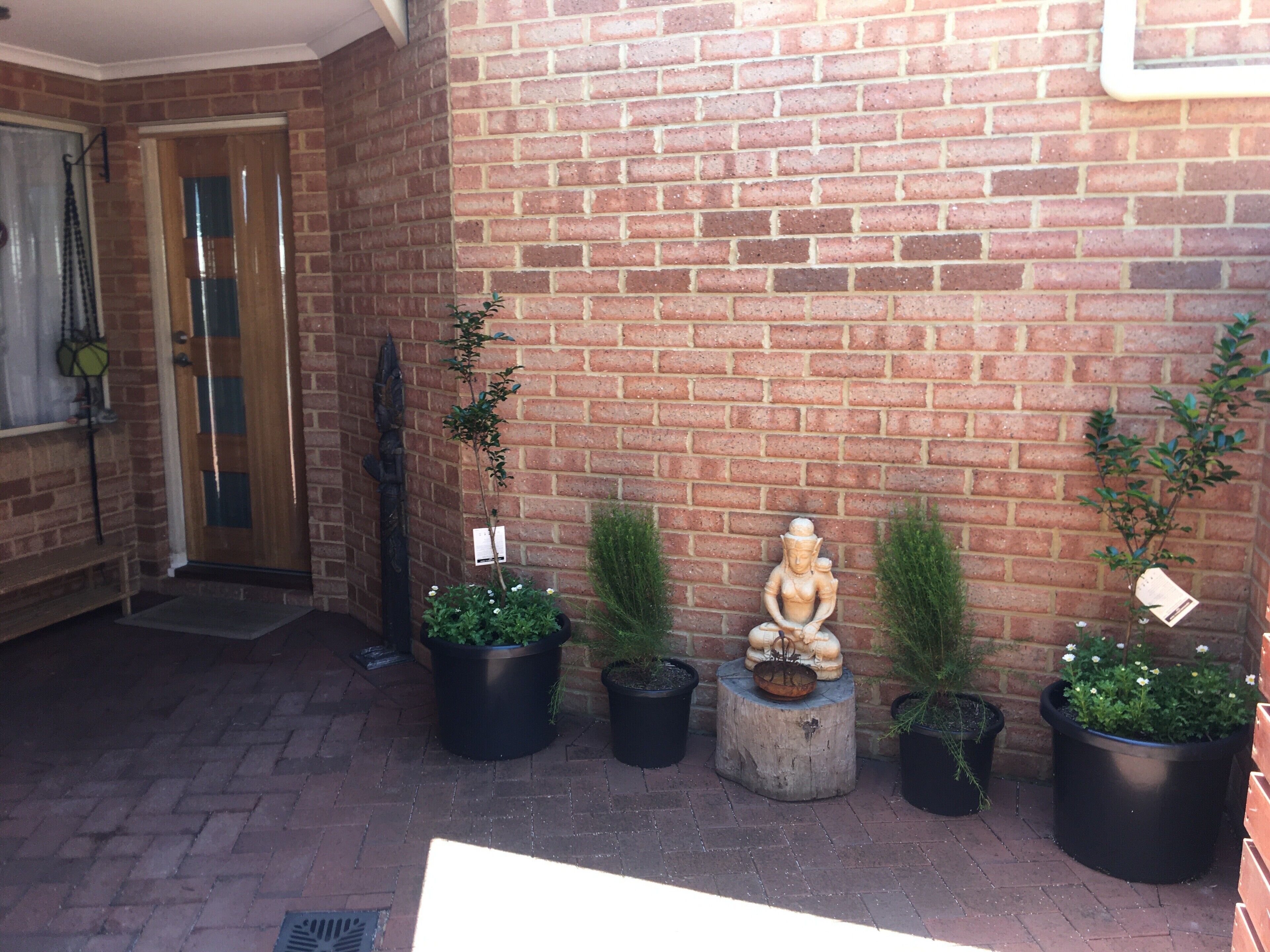 Ziggy and Bree's place — image 3