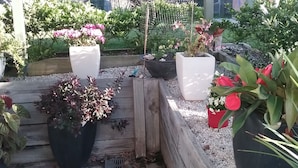 Un jardín con diferentes plantas en macetas y una estructura de madera.