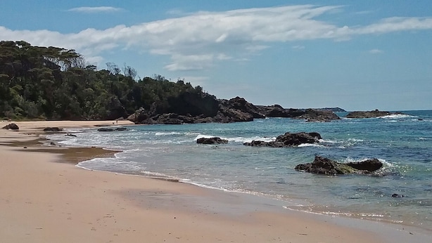 Una playa con aguas cristalinas, afloramientos rocosos y una zona boscosa al fondo.