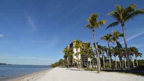 Una playa con una hilera de palmeras y un edificio con varios balcones que dan al océano.