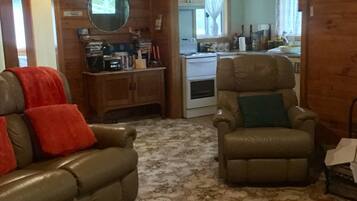 TV, fireplace, DVD player, books