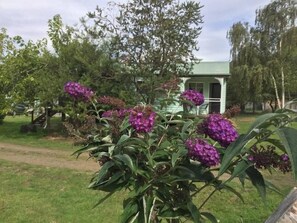 المنطقة المحيطة بالمنشأة