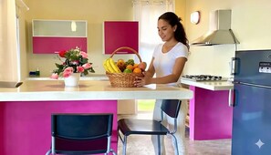 Fridge, stovetop, coffee/tea maker, toaster