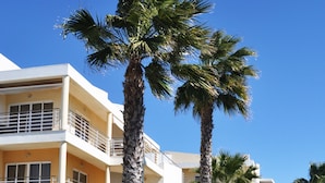 Un hotel de varios pisos con balcones, palmeras y un césped bien cuidado.