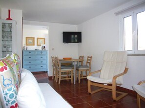 تلفزيون، مدفأة، مشغل دي في دي، مكتبة فيديو