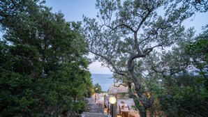 En sti, der fører til en restaurant ved havet med udendørs siddepladser, omgivet af frodig vegetation.