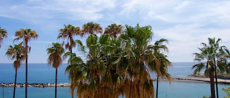 Accommodatie ligt op het strand