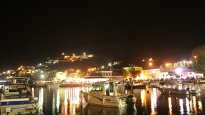 Un port de plaisance de nuit, avec des bateaux amarrés et des bâtiments illuminés en arrière-plan.
