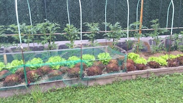 Jardines del alojamiento