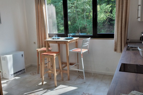 Fridge, stovetop, dishwasher, coffee/tea maker