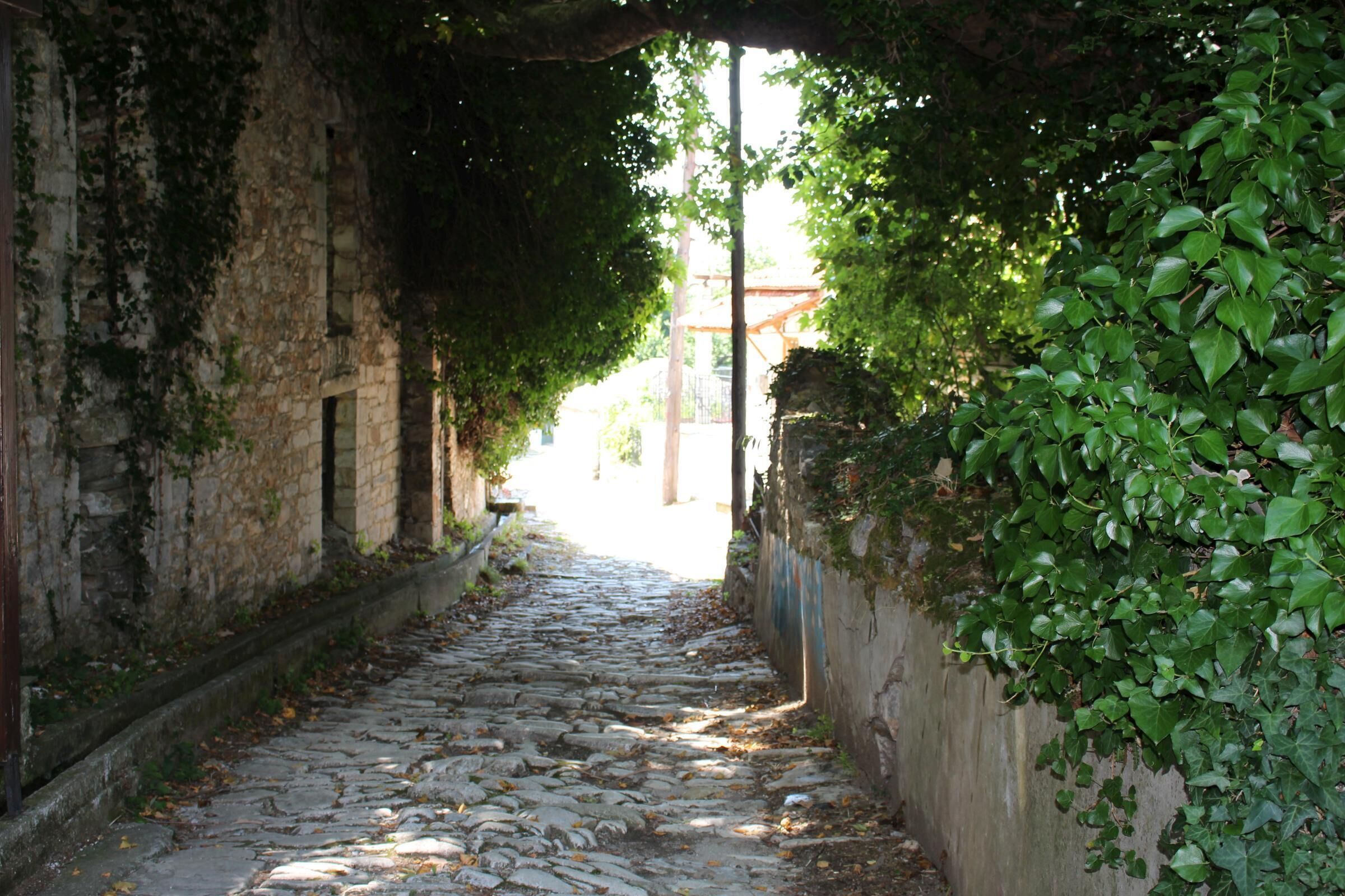 way to the house