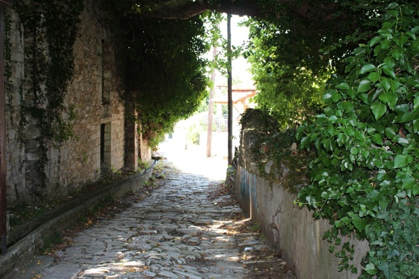 way to the house