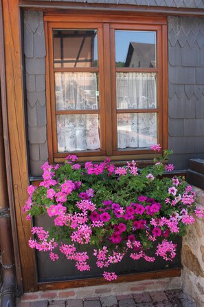 Exterior detail - Charming Cottage La Maisonnette Coquette (Oltingue)