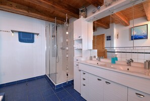 Bathtub, hair dryer, soap, toilet paper